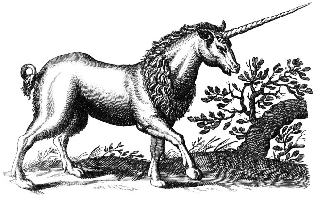 LI9 unicorn-engraving-q85-1981x1298