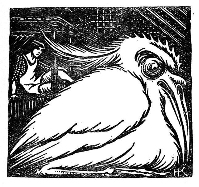 538195_2236809057374_1227592353_n