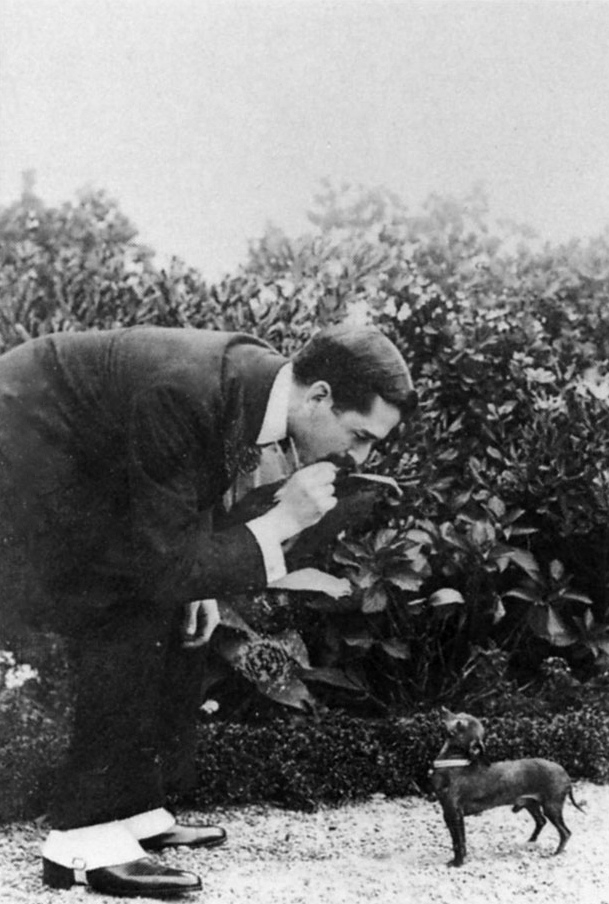 roussel et son chien