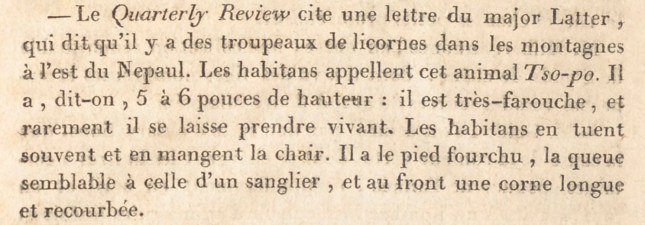 LICORNE QUATERLY TABLETTES