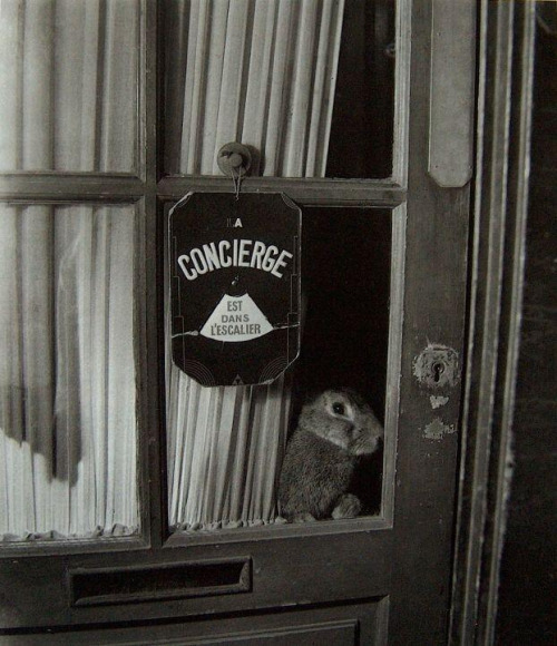 concierge3