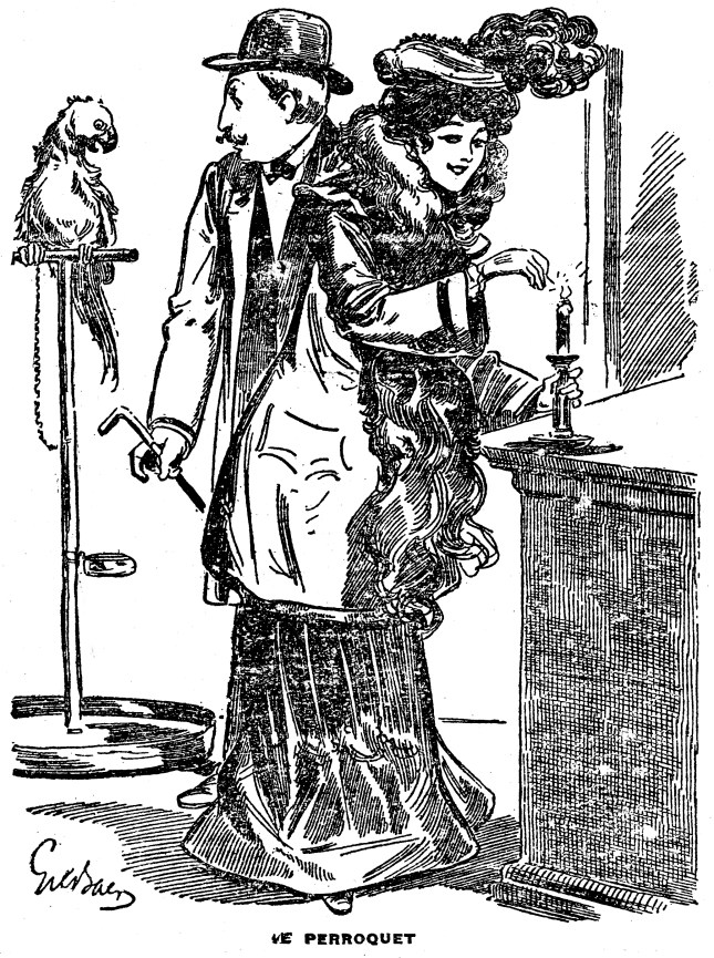 perroquet-nerval-image2